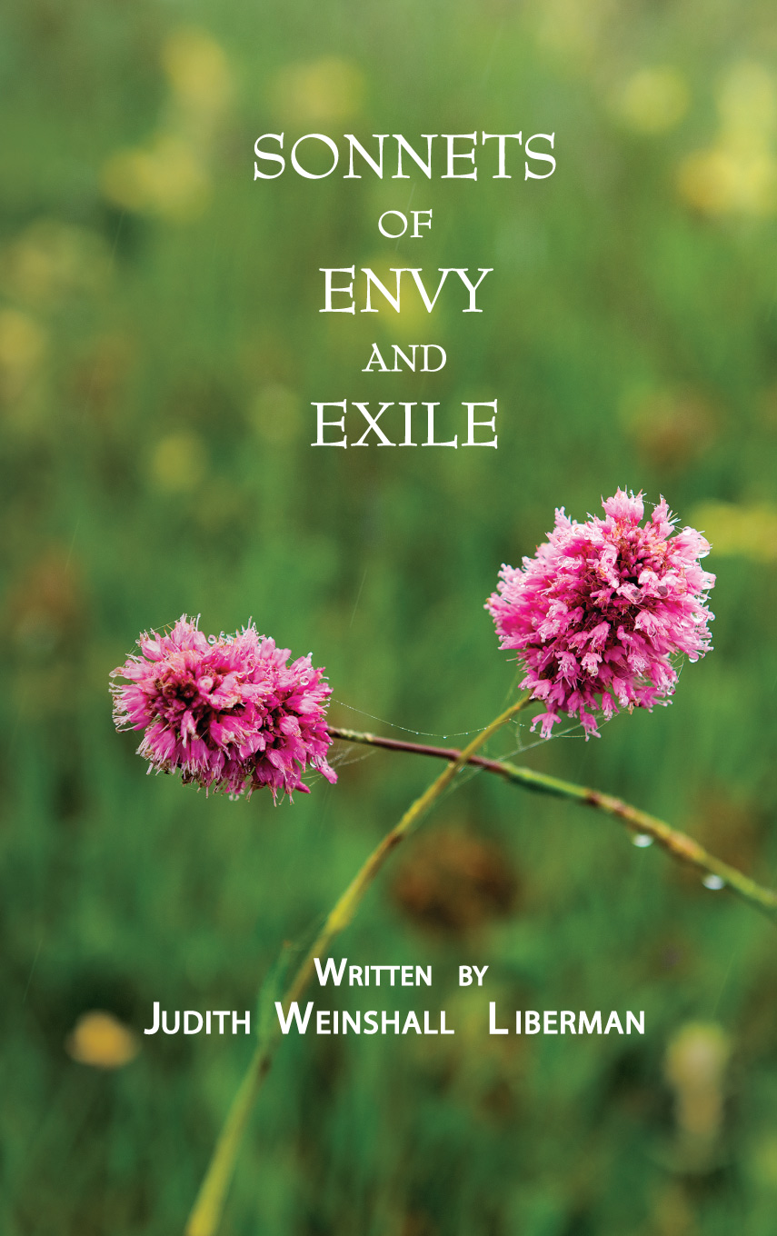 sonnets of Envy and Exile